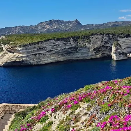 Maison De Avec Piscine Proche Et Montagne * Ghisonaccia