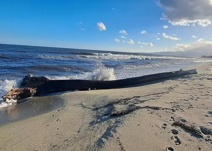Maison De Avec Piscine Proche Et Montagne * Ghisonaccia